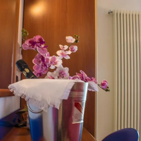 Brasilia 3* Lido di Classe