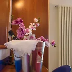 Brasilia 3* Lido di Classe