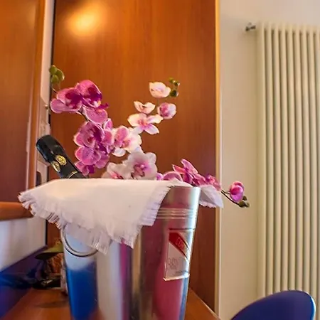 Brasilia Hotel 3*